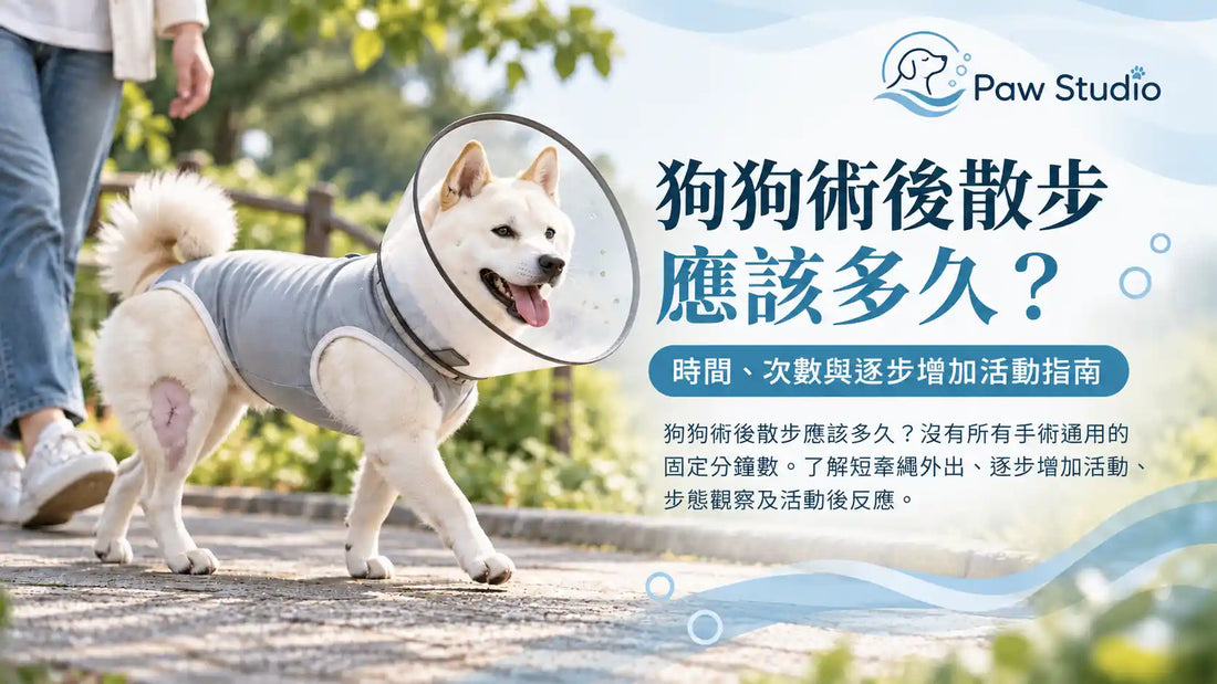 狗狗術後散步時間手術後逐步增加活動指南