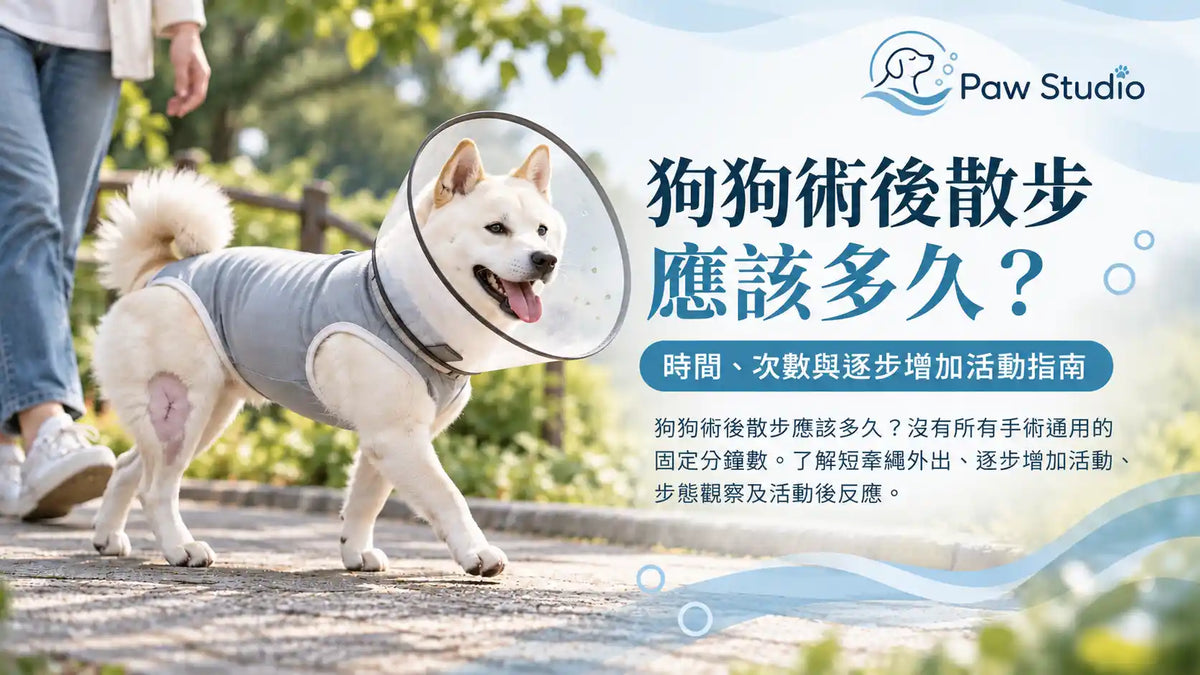 狗狗術後散步時間手術後逐步增加活動指南