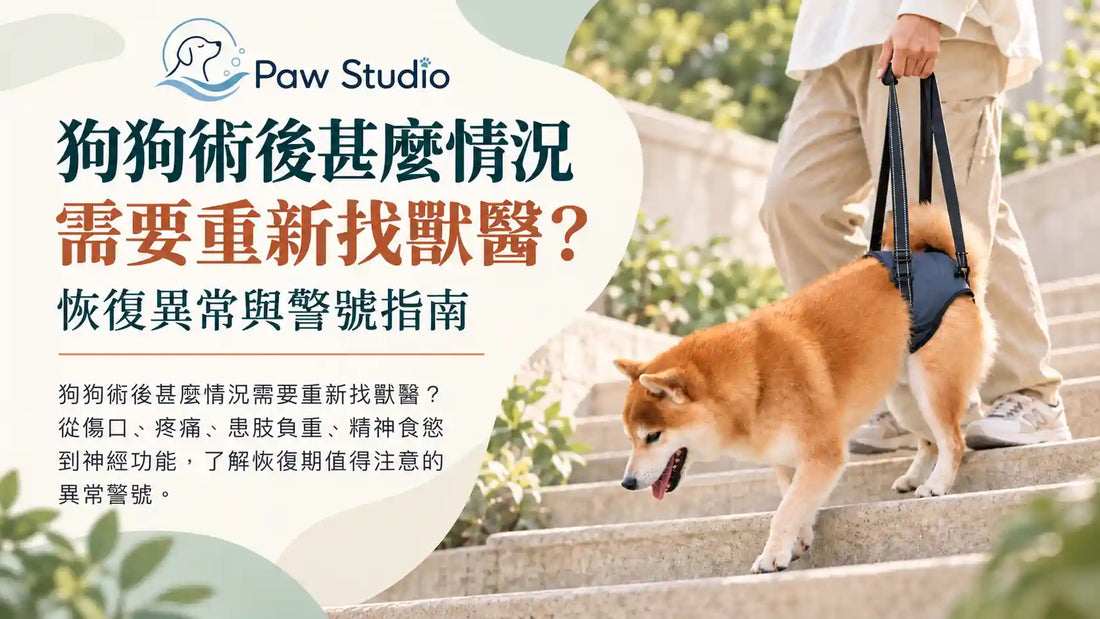 狗狗術後恢復異常傷口疼痛不負重需要找獸醫警號指南