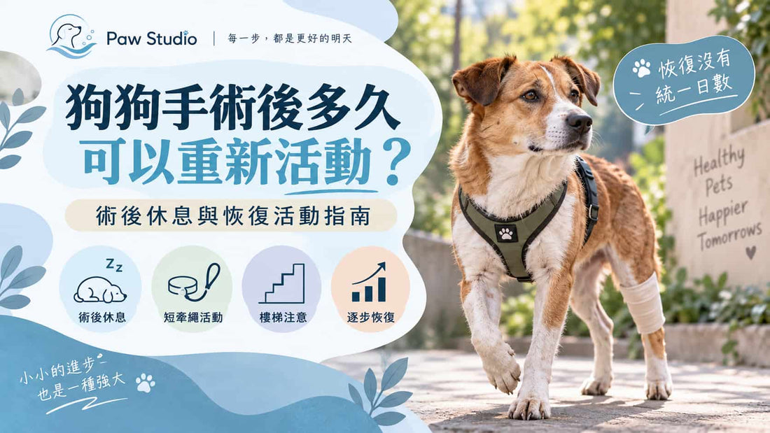 狗狗手術後多久可以重新活動及術後休息恢復活動指南