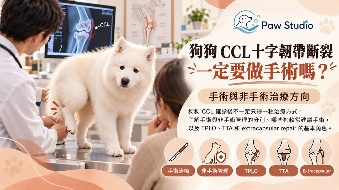 狗狗CCL十字韌帶斷裂手術與保守治療TPLO TTA比較指南
