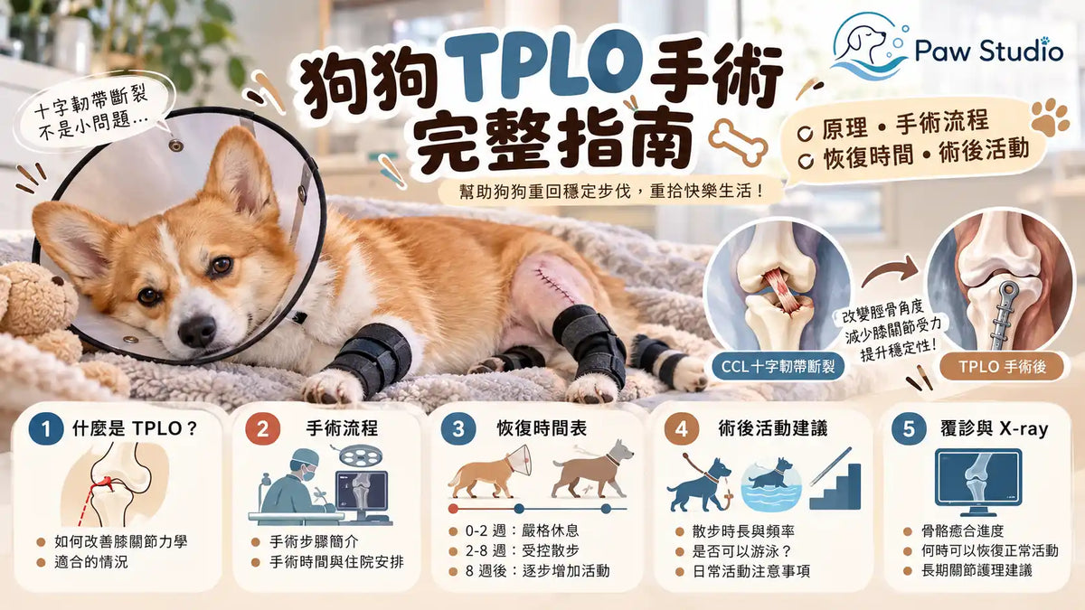 狗狗TPLO十字韌帶手術原理截骨骨板固定恢復時間及術後活動指南