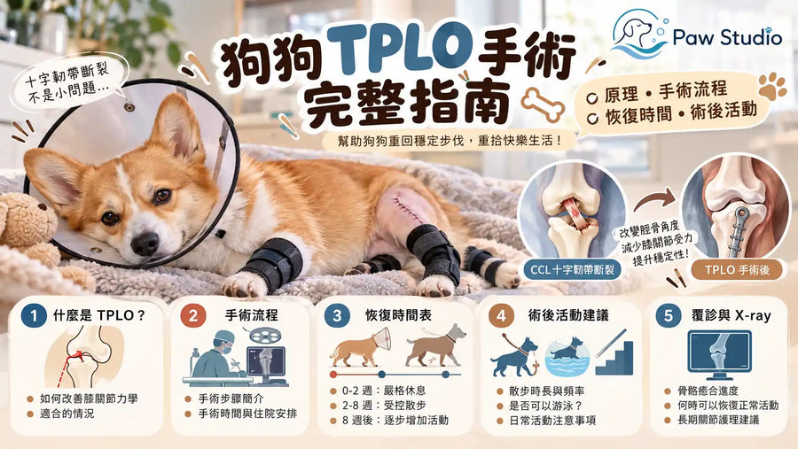 狗狗 TPLO 手術完整指南｜原理、手術流程、恢復時間與術後活動