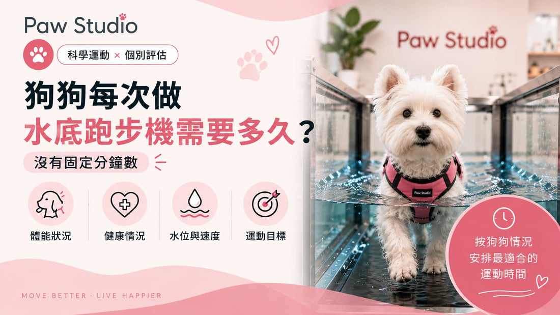 水底跑步機內進行水中步行訓練，介紹狗狗每次做水底跑步機需要多久，並說明影響每次運動時間安排的六大因素，協助香港狗主建立安全且合適的運動計劃。