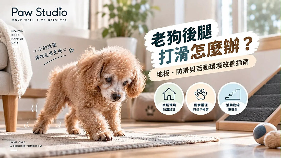 老狗後腿打滑及老犬家居地板防滑改善方法