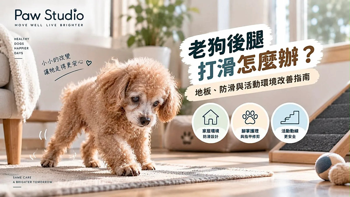 老狗後腿打滑及老犬家居地板防滑改善方法