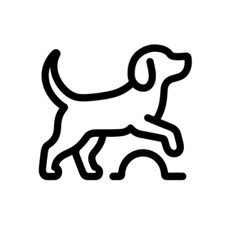 提升自信與適應能力