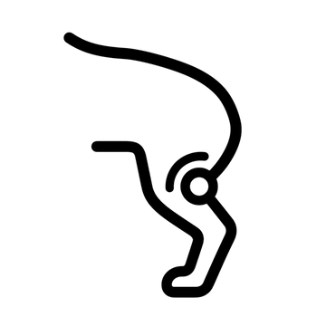 髕骨（Patella）手術後