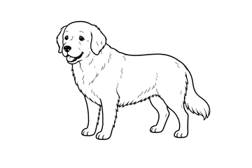 老犬保養