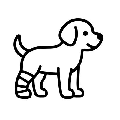 術後恢復幼犬