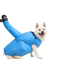 Paw Studio 藍色狗狗吹毛烘乾衣 Dog Hair Dryer Suit，適合洗澡後快速吹乾毛髮及日常寵物 Grooming