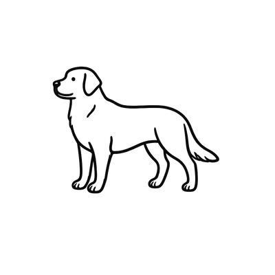 大型犬